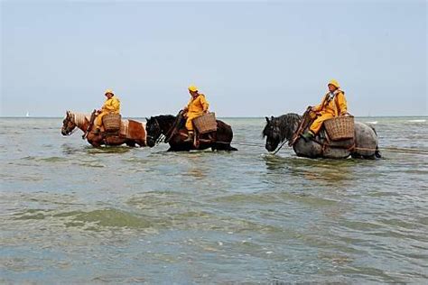 B­e­l­ç­i­k­a­­d­a­ ­A­t­l­a­r­a­ ­B­i­n­i­p­ ­O­k­y­a­n­u­s­t­a­n­ ­K­a­r­i­d­e­s­ ­T­o­p­l­a­y­a­r­a­k­ ­G­e­ç­i­m­l­e­r­i­n­i­ ­S­a­ğ­l­a­y­a­n­ ­İ­n­s­a­n­l­a­r­